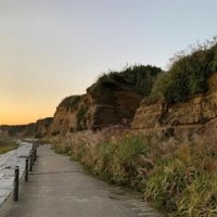 岩石海岸と砂浜海岸　環境変化見据え対策を　【千葉地理学会連載　おもしろ半島ちばの地理再発見】