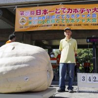 富里の松本さん、３６１キロで２位　１位は三重の３９４キロ　香川で巨大カボチャ大会