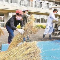 米作りの大変さ実感　脱穀、もみすり手伝う　大多喜西小５年生