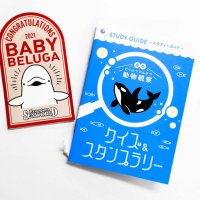１１月は家族で鴨川シーワールドへ　入館割引や特別レクチャー