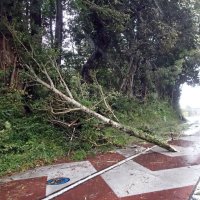 ＜台風１６号＞千葉県内１万５千軒停電、交通網に乱れ　銚子で最大瞬間風速４１・８メートル