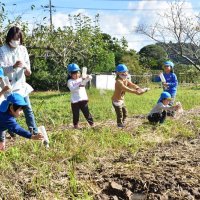 きれいな花咲いてね　園児がレンゲソウ種まき　大多喜