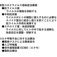 研究成果着実に集積　コロナ禍を克服するための戦略２　最新の治療　千葉大学大学院医学研究院救急集中治療医学教授・中田孝明　【医療現場からコロナ禍の羅針盤情報提供とアドバイス】（８）