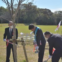 ５０周年で桜５０本植樹　城址の新たなシンボルに　佐倉ＲＣ