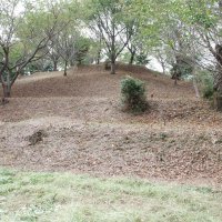 海保大塚古墳の近影（２０１７年撮影、同センター提供）
