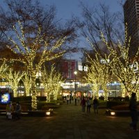 浦安、光の装い　ＳＮＳ使いイベントも