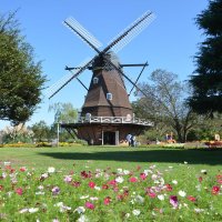 アンデルセン公園　人気風車回らずＯＫ？　摩耗受け停止丸３年　船橋市、本格式ゆえ手間取り