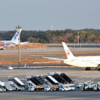 成田空港騒音被害提訴へ　夜間、早朝飛行差し止め求める　芝山、多古町民