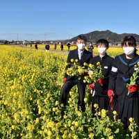 オープニングセレモニーで「菜の花カット」を行った鴨川中学校の生徒ら