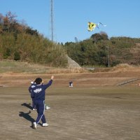 郷土伝統「袖凧」に　長南中生思い込め　中央に文字、鮮やか彩色