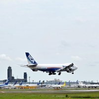 国際線コロナ前比９２％減　成田１月旅客　厳しさ続く　貨物は過去最高