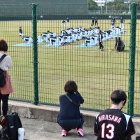 コロナ禍の球春到来　１２球団観客入れキャンプ