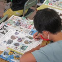 学校全体で新聞読む　北部小学校（野田市）　【ＮＩＥ報告　千葉県内実践校の取り組み】（１５）