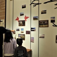 木更津の魅力市民で共有　写真展「らづメモリー」