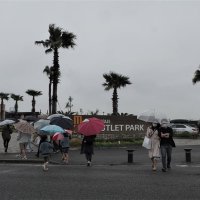 雨模様静かな初日　観光船事業者知床事故「影響ある」　千葉県内３年ぶり制限なしＧＷ