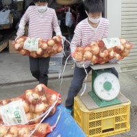 袋詰めしたタマネギの重さを量る子どもたち