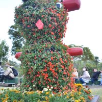 季節の花で「チーバくん」　山武・蓮沼海浜公園