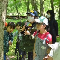 親子で新緑満喫　「みどりの日」に体験会　山武・日向の森