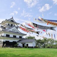 城下見下ろし悠々と　館山　こいのぼり寄贈受け７０匹