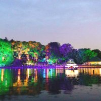 光やダンス…華やかな夜を　大賀ハス開花７０年　「夜ハス」節目彩る　６月９～１１日、千葉公園