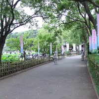 のぼり旗