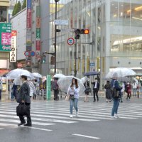 一足早く傘の出番　千葉県内梅雨入り