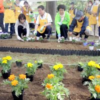 住民主導でＡＫＢ（我孫子駅・北口・美化）会発足、花いっぱいに　市と大型店協力