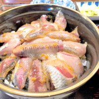 地魚料理を提供する地元店「香海」のイワシメニュー。「今年も５月ごろからだんだんと脂乗りが良くなり、今は最盛期」（店主）＝銚子市の「香海」