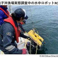 共存共生へ環境調査　漁協　予定地周辺、２４年まで　銚子洋上風力