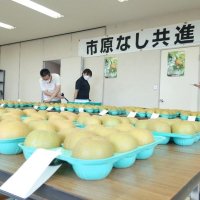 市原の梨出来栄え競う　市長賞に渡辺さん