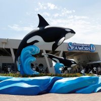 鴨川シーワールドに新モニュメント　親子シャチ、ジャンプ姿リアルに