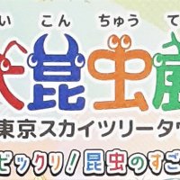 【お得情報】大昆虫展４枚組チケットプレゼント！「無料メール会員」対象に抽選で９名様に【１６日入会まで間に合う】