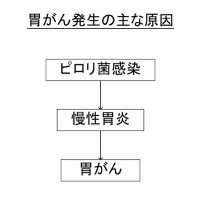 発生予防に除菌を　慢性胃炎進行時は注意　胃がん（１）　千葉県がんセンター内視鏡科医長　北川善康　【９月はがん征圧月間　ちば　がんにうち克つ】（１）