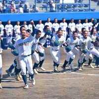専松、成田は２３日登場　センバツ懸け千葉県勢挑む