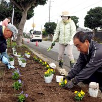 コース沿道に花の苗植え付け　木更津、アクアマラソン
