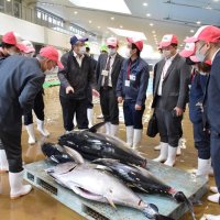 台湾バイヤー、銚子漁港視察　規制緩和、輸出拡大へＰＲ