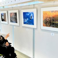 一瞬の「美」一堂に　１１月７日まで市原市写真連盟展　夢ホール