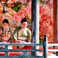 伝統の調べ「秋」演出　成田山公園　紅葉まつりスタート
