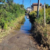 千葉県水門機能せず浸水被害　横芝光の川