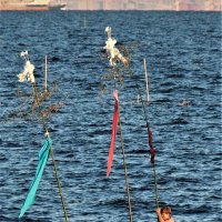 五穀豊穣、大漁願い「梵天立て」　厳寒の海へ若者１４人勇壮に　木更津・中島海岸
