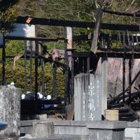 宗龍寺の本堂全焼　横芝光