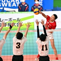 【速報】習志野６大会ぶり４強　開智（和歌山）に勝利　春高バレー