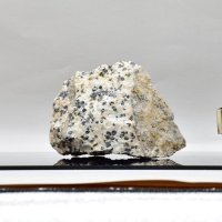 ただの石にしか見えないが…
