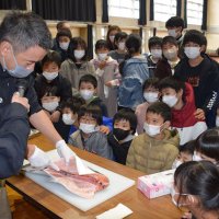 本場ノルウェーの養殖学ぶ　サケ飼育の睦沢小５年生
