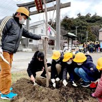 姉埼神社を桜の名所に　児童植樹、思い出づくりも　市原　氏子有志が３００本計画