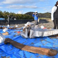 掘り起こされた頭骨などの骨
