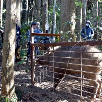 求む！新人ハンター　害獣捕獲へ３月セミナー　狩猟者減で担い手育成