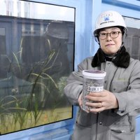 副産物で藻ＣＯ２吸収増　日鉄、脱炭素化の一助に　千葉など４４カ所