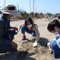 保安林再生へ２８００本植樹　津波被災の山武・蓮沼地区