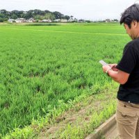 水稲生育、アプリで予測　千葉県の独自システム「でるた」開発　肥料追加や害虫駆除目安もお知らせ